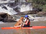 stand up paddle  dog - Socorro (SP)