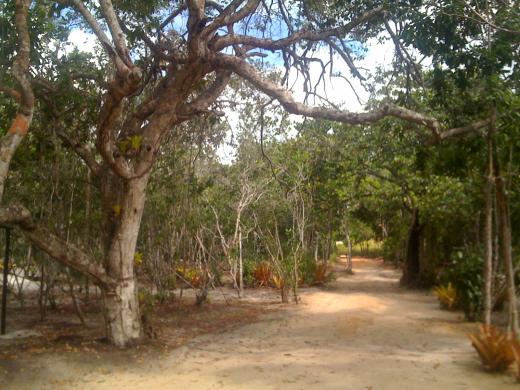 Village Mata Encantada
