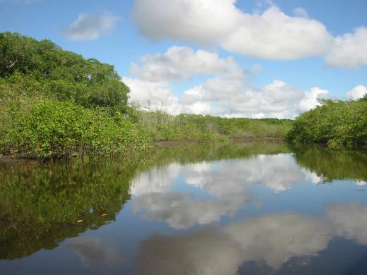 Rio João da Tiba