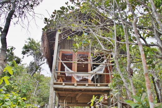 Casa na Árvore -Village Mata Encantada