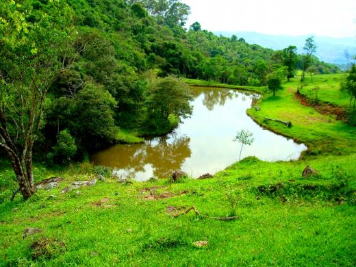 Hotel Estância Atibainha -trilha ecológica