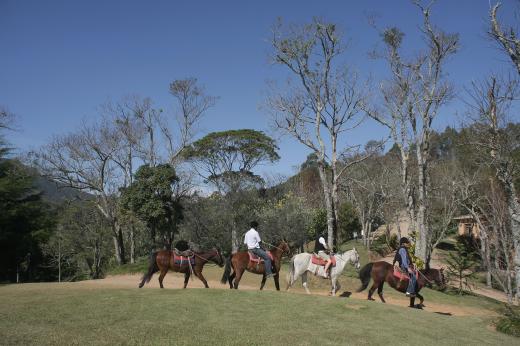 Quinta dos Pinhais - cavalgada