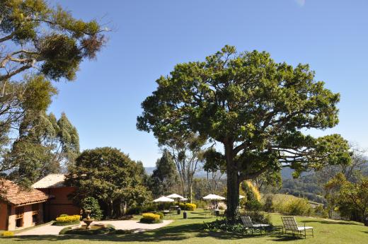 Pousada Quinta dos Pinhais