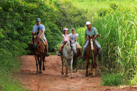 Recanto Alvorada Eco Resort - cavalgada