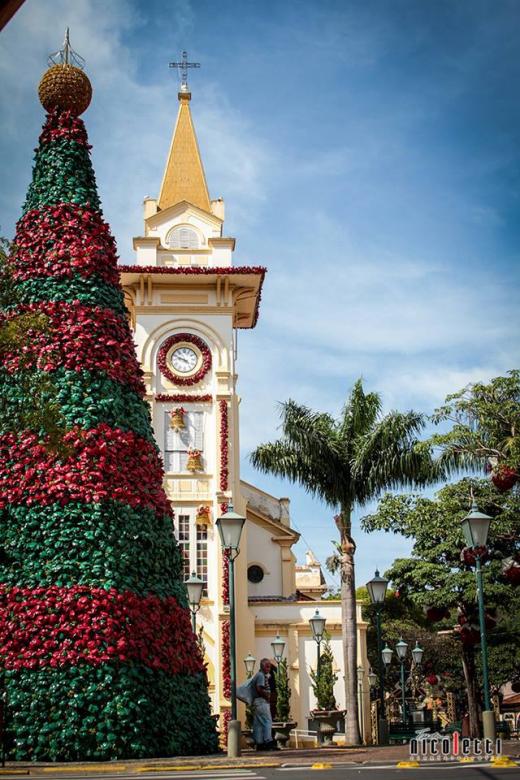 Socorro - Arvore de Natal gigante - crédito Tuda Nicoletti