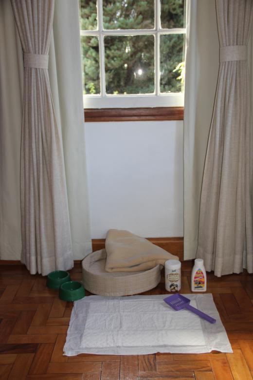 Kit Pet - Hotel Toriba