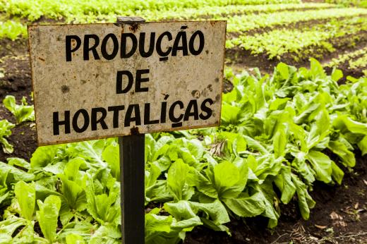 Hotel Fazenda Campo dos Sonhos - crédito Francisco Dreux