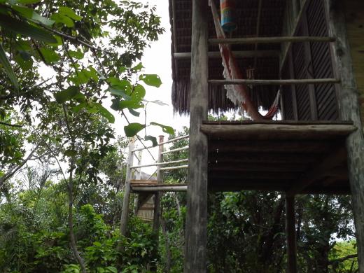 Casa na Árvore com mirante - Village Mata Encantada (BA)