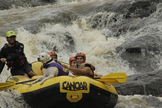 Rafting Dog - Socorro (SP)