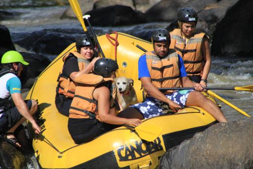 Rafting Dog - Socorro (SP)