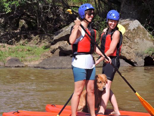 stand up paddle  dog - Socorro (SP)