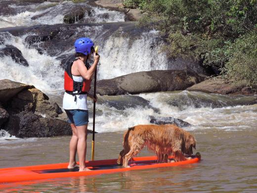 stand up paddle  dog - Socorro (SP)